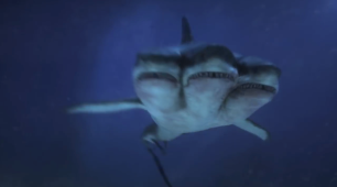 Vaizdo rezultatas pagal užklausą „three headed shark“